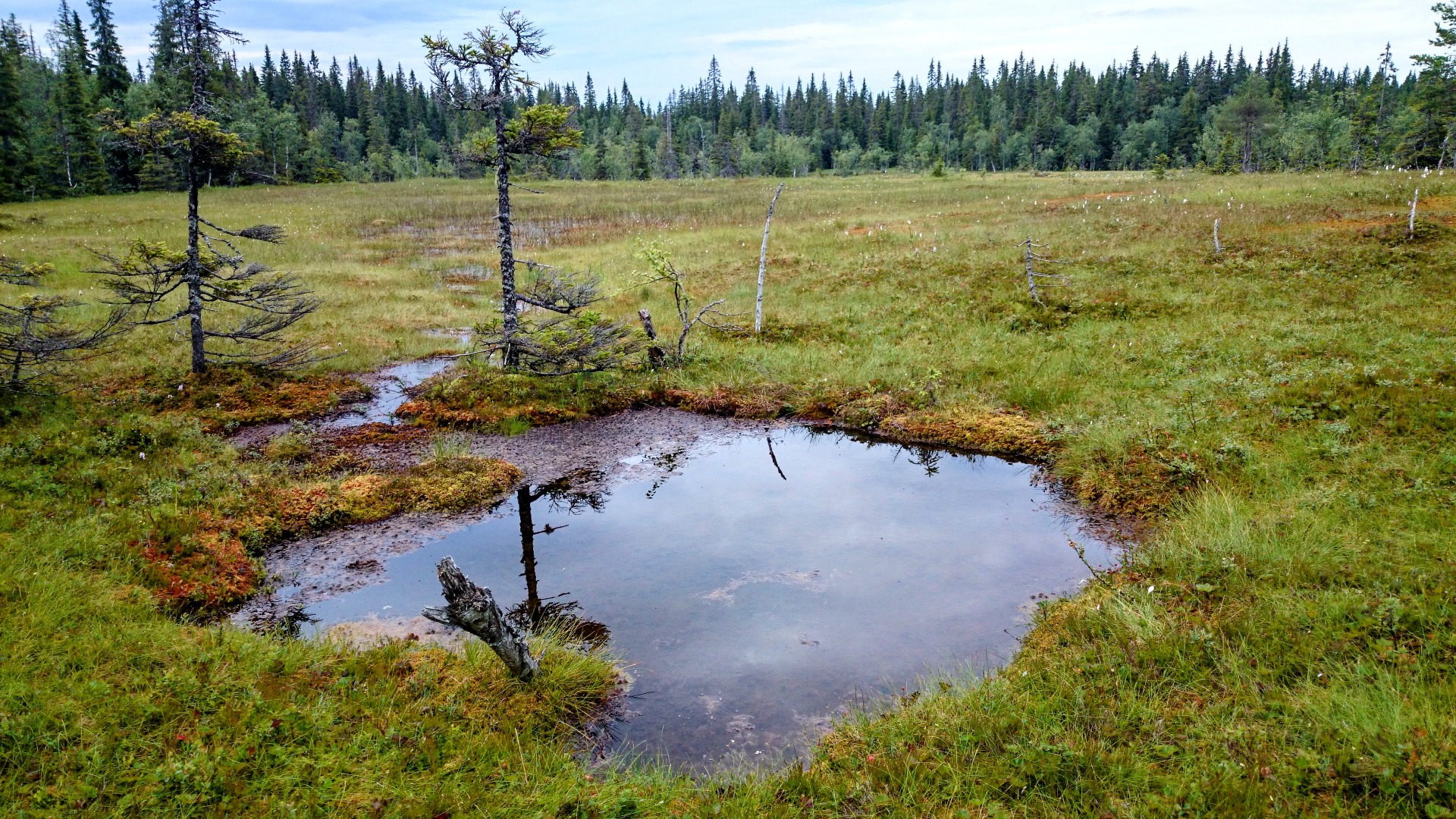 Luonnon lähde