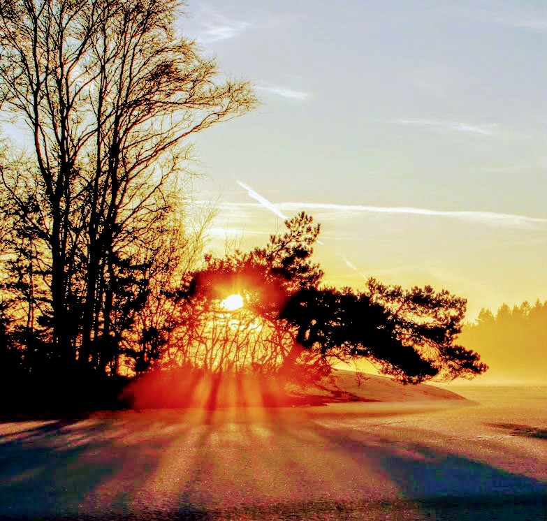 Auringonlasku valaisee puita ja pensaita, jotka muodostavat pitkät auringon säteet järven jäälle.