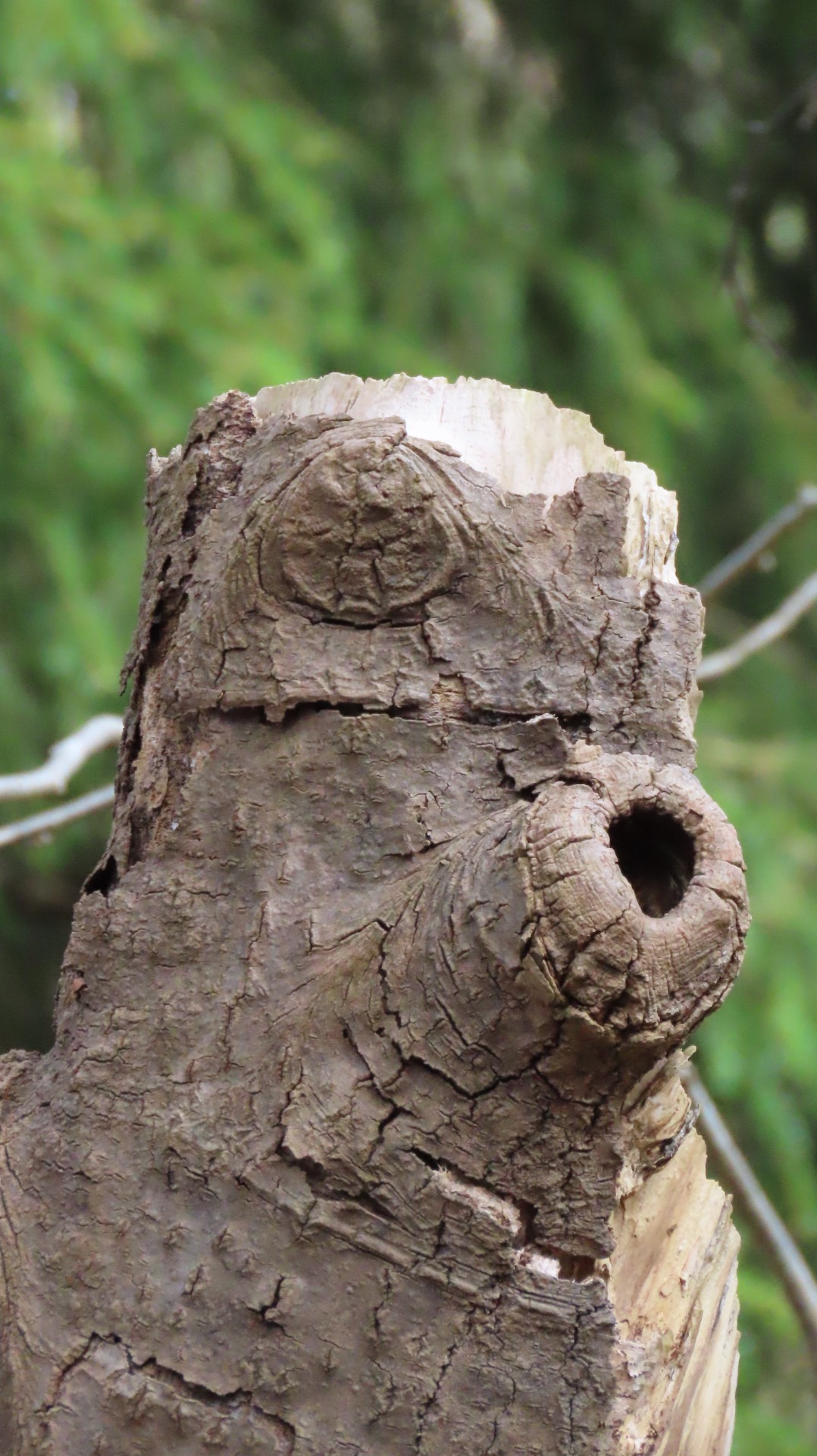 Huh-huuuu