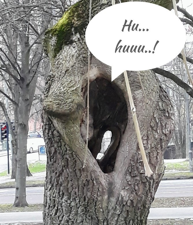 Ääni ontelosta